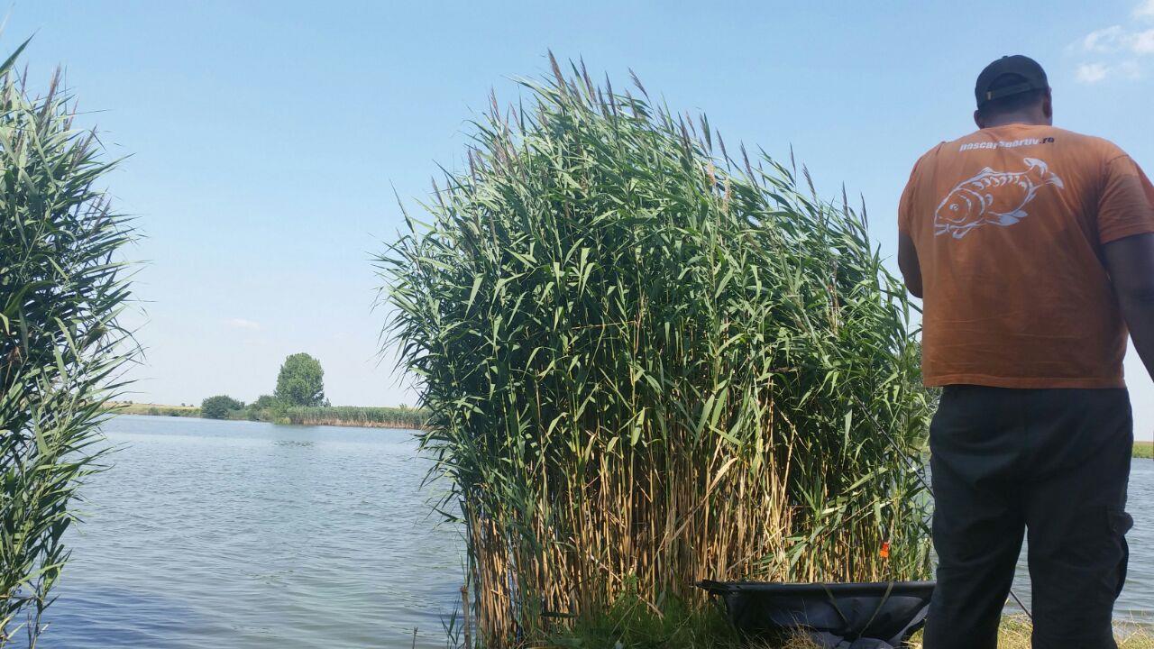 Lacul Teiu 23 - 26 iul.